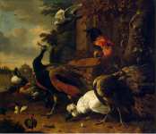 Hondecoeter Melchior de Birds in a Park 01 - Hermitage